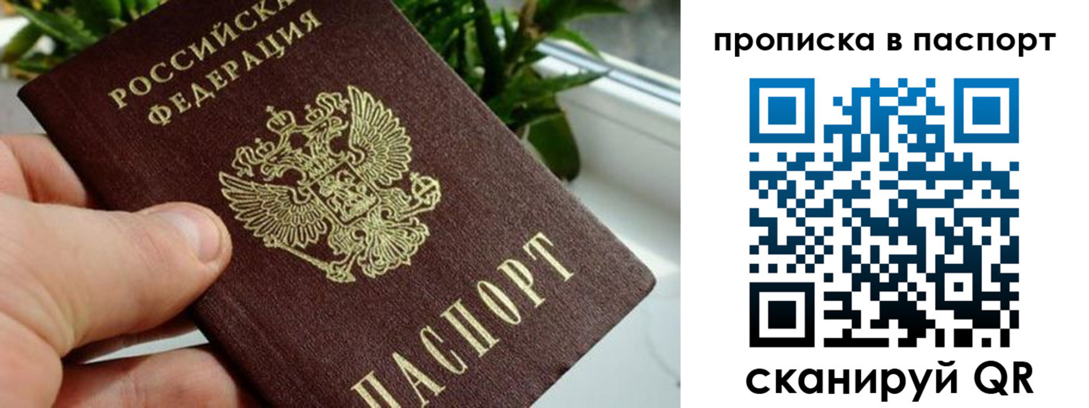 пропишу в квартире в Щёкино